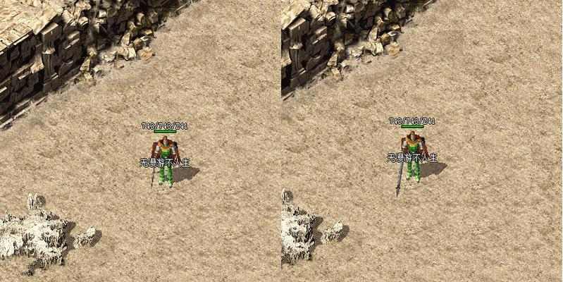 小心！乌龟不能吃的地方（保护乌龟健康，远离这些禁区）(图1)