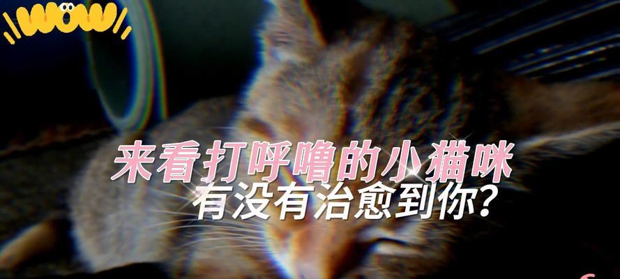揭秘猫为何打呼噜的奥秘(探究猫打呼噜现象的原因和意义)(图3) 揭秘猫为何打呼噜的奥秘(探究猫打呼噜现象的原因和意义)(图3)