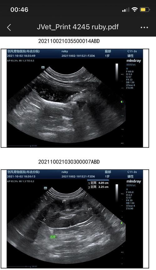 膀胱结晶（了解膀胱结晶的形成原因，识别其症状，并探讨相关治疗方法） - 悠悠酷狗网