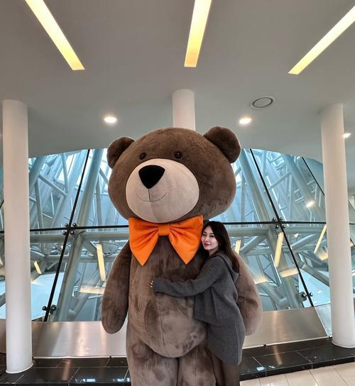 超级大的泰迪叫什么名字？（探索大型泰迪犬的命名之谜） - 悠悠酷狗网