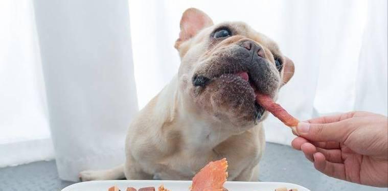 没满月的狗能吃些什么？（了解适合没满月狗狗的饮食需求和食谱） - 悠悠酷狗网