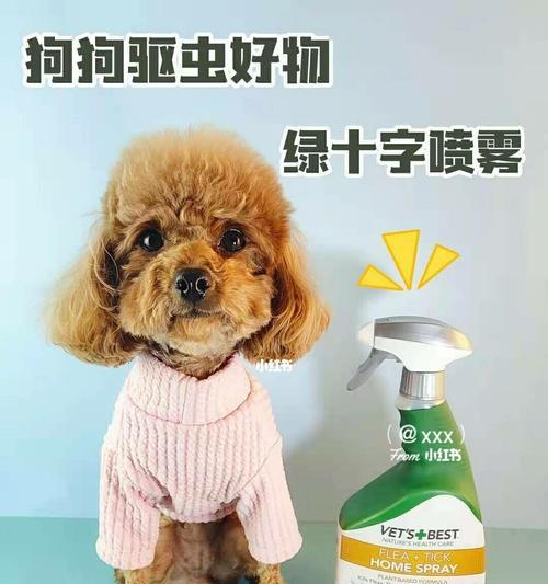 狗狗拉绿便的治疗方法及药物推荐（解决狗狗拉绿便的最佳药物选择与常见原因分析） - 悠悠酷狗网