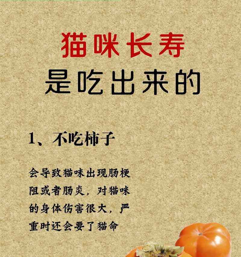 猫咪的清淡饮食(图3) 猫咪的清淡饮食(图3)