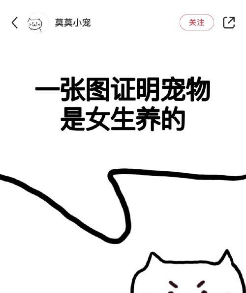 小女孩适合养什么宠物？（选择合适的宠物对小女孩的成长十分重要）(图3)