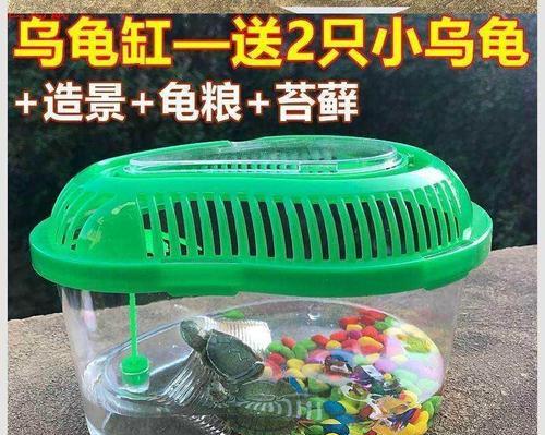 小女孩适合养什么宠物？（选择合适的宠物对小女孩的成长十分重要）(图1)