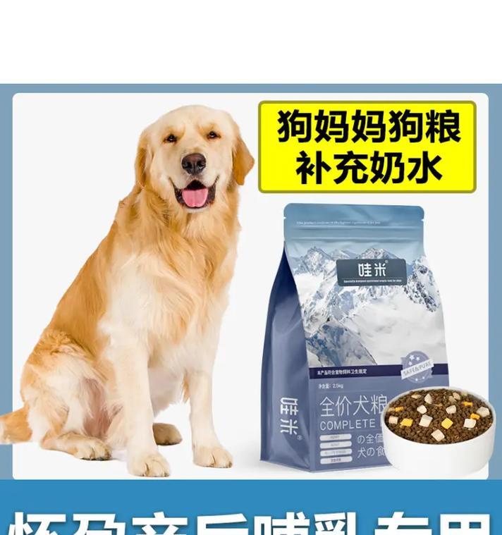 以泰迪喜欢吃狗粮拌什么区别？（以泰迪喜欢吃狗粮拌肉与拌蔬菜的区别） - 悠悠酷狗网