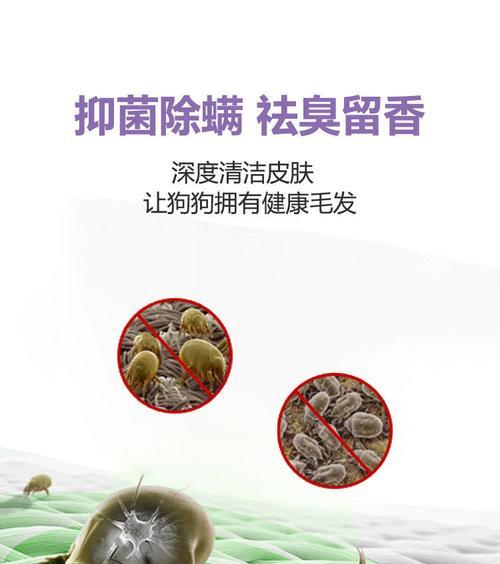 如何选择适合泰迪的护毛素（泰迪护毛素的选择关键） - 悠悠酷狗网