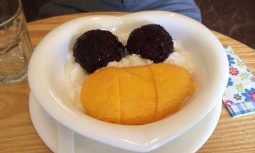 用食物训练三个月的比格犬——关爱宠物健康（通过正确的饮食习惯提高比格犬的体质素质和活力）(图2)