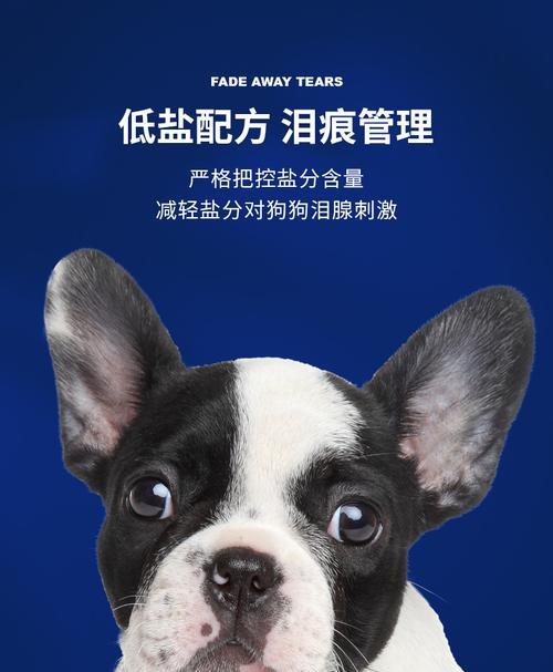 斗牛掉毛严重的几大常见原因(了解斗牛掉毛的原因,让你的宠物更健康)(图2) 斗牛掉毛严重的几大常见原因(了解斗牛掉毛的原因,让你的宠物更健康)(图2)