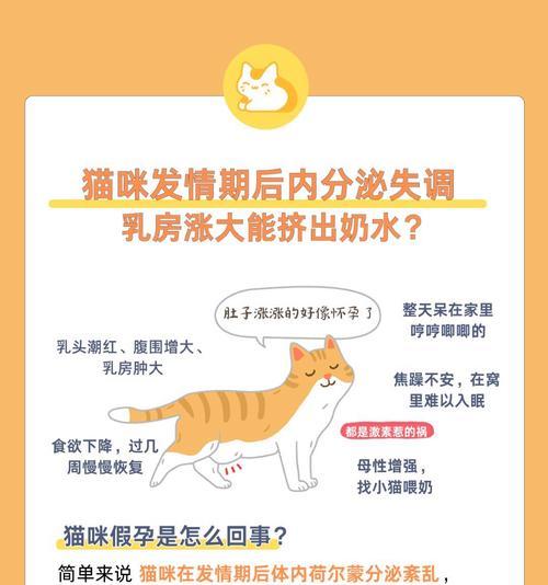 猫咪的繁殖周期与再怀孕时间（探究猫咪再次怀孕的间隔期和生育能力） - 悠悠酷狗网