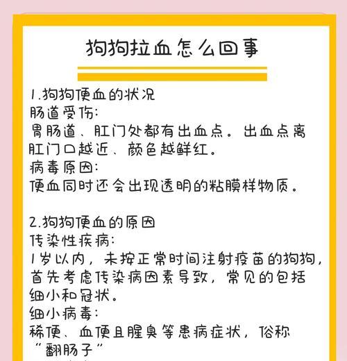 狗狗吐血，五种可能的原因及解决方法（了解吐血颜色对狗狗健康的重要性）(图3)