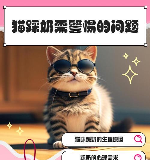 猫咪踩奶的时间究竟有多久？（解密猫咪踩奶行为背后的奥秘）(图2)