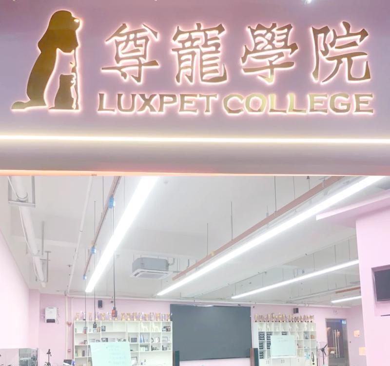 宠物店员工培训的重要性（如何提高宠物店员工的专业能力）(图2)