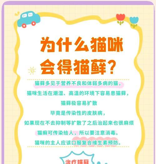 猫藓治疗的时间和方法（以猫得了猫藓多久能好？治疗猫藓的有效方法） - 悠悠酷狗网
