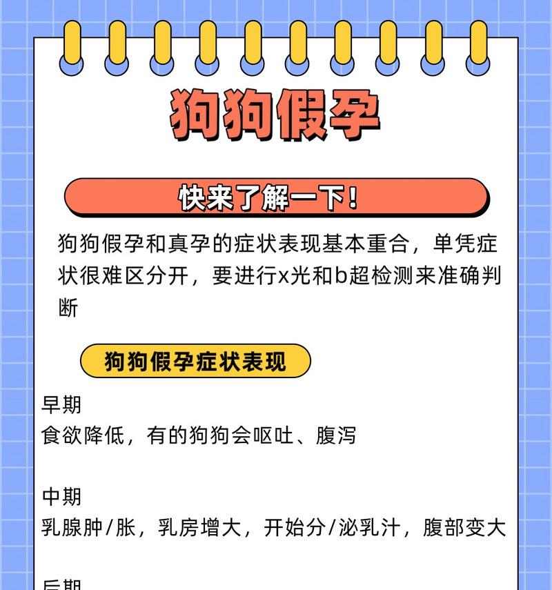 如何分辨狗狗的真假怀孕（辨别狗狗真假怀孕的方法及注意事项）(图3)