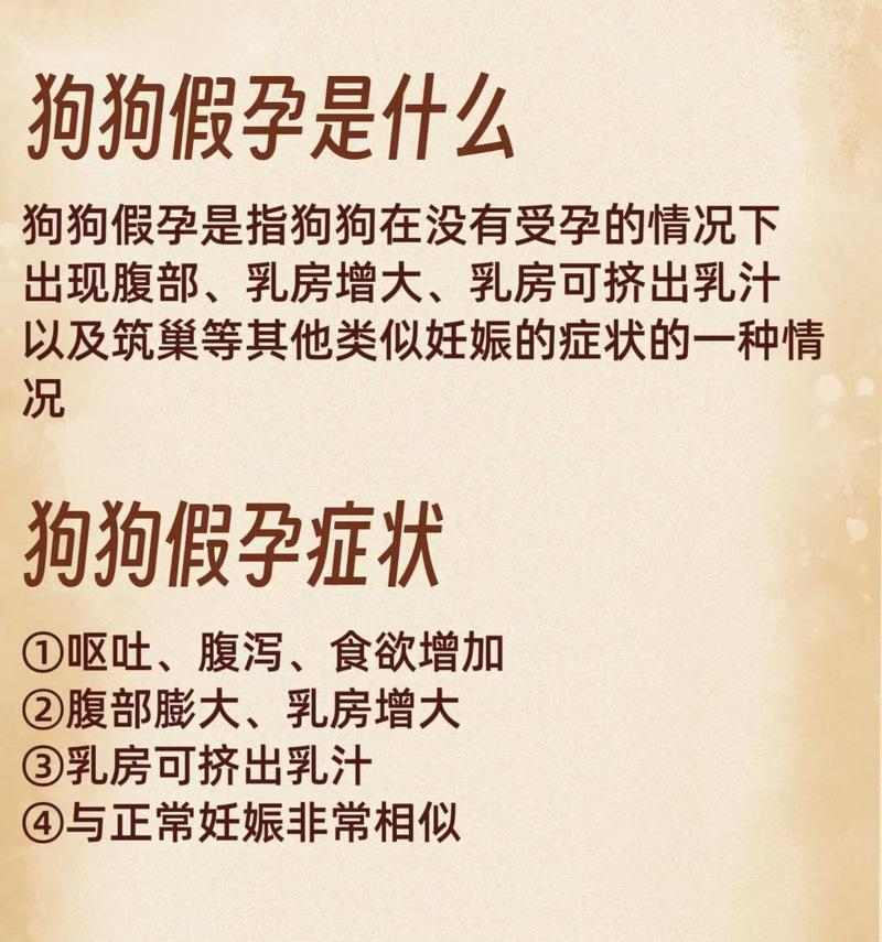 如何分辨狗狗的真假怀孕（辨别狗狗真假怀孕的方法及注意事项） - 悠悠酷狗网