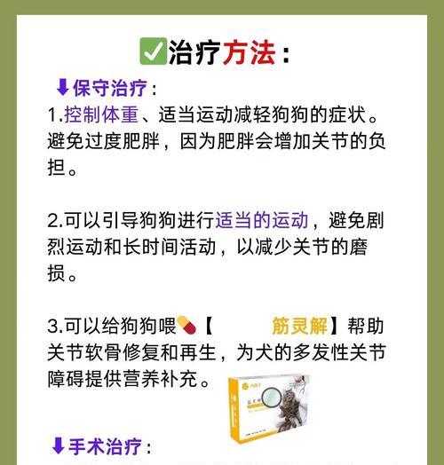 金毛的运动量有多大?如何避免运动伤害?(了解金毛犬的运动需求,掌握科学的运动防护方法)(图3) 金毛的运动量有多大?如何避免运动伤害?(了解金毛犬的运动需求,掌握科学的运动防护方法)(图3)