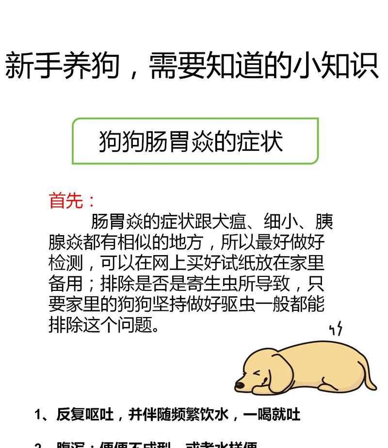 爱犬驱虫后出现不良反应，主人应注意的三要点（牢记不可盲目喂药，保护宠物的健康） - 悠悠酷狗网