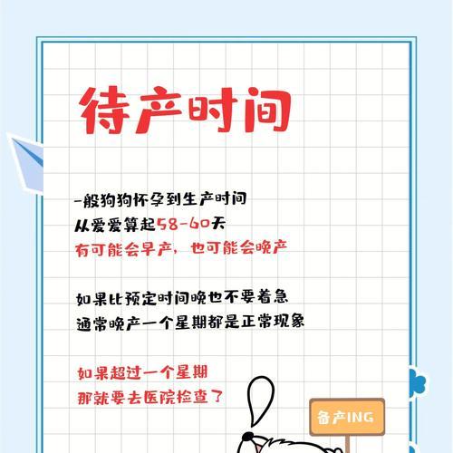 从怀孕到生产，狗狗需要多长时间？（狗狗的妊娠期、分娩期和哺乳期）(图3)