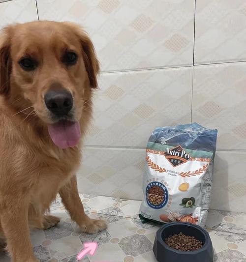 狗粮没开封能放多久？（了解狗粮保质期的重要性） - 悠悠酷狗网