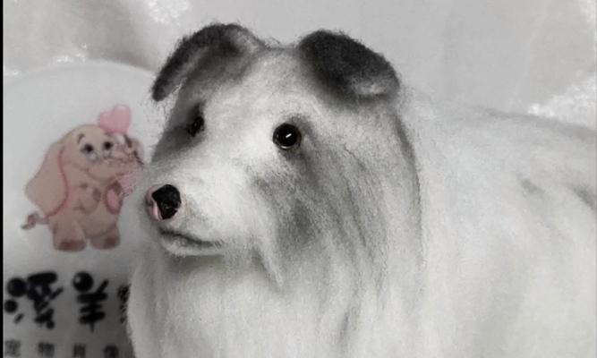 小狗长毛时间分析(了解小狗什么时候开始长毛?长毛需要多久?)(图1) 小狗长毛时间分析(了解小狗什么时候开始长毛?长毛需要多久?)(图1)