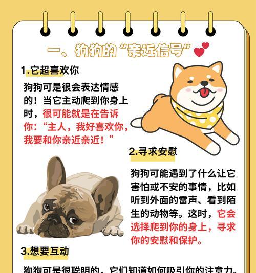 狗熟悉主人需要多长时间？（揭开狗熟悉主人的神秘面纱） - 悠悠酷狗网