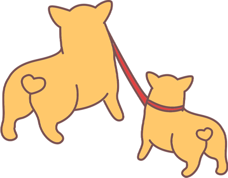 夏季遛狗保命指南（附中暑急救技巧）(图3)