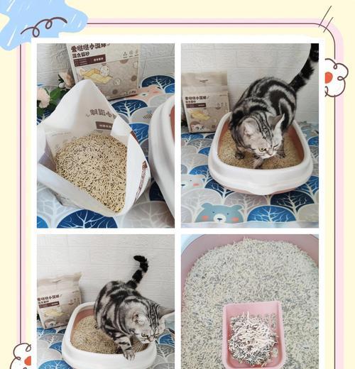 10kg猫砂使用指南（一袋猫砂可供使用多久？找到经济实惠的选择）(图2)
