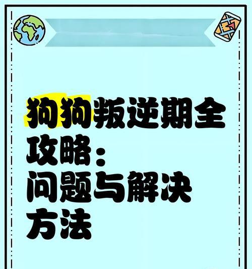 泰迪叛逆期的时长及结束方式（了解泰迪叛逆期，帮助宠物成长） - 悠悠酷狗网