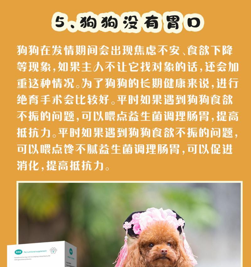 母狗的遗忘时间（家庭宠物的情感连结与记忆遗忘）(图2)