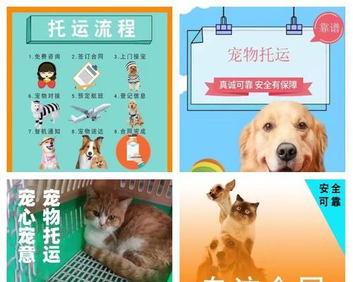 猫咪托运的费用和交通工具选择(了解猫咪托运的费用和可选交通工具,为宠物旅行提供便利)(图1) 猫咪托运的费用和交通工具选择(了解猫咪托运的费用和可选交通工具,为宠物旅行提供便利)(图1)