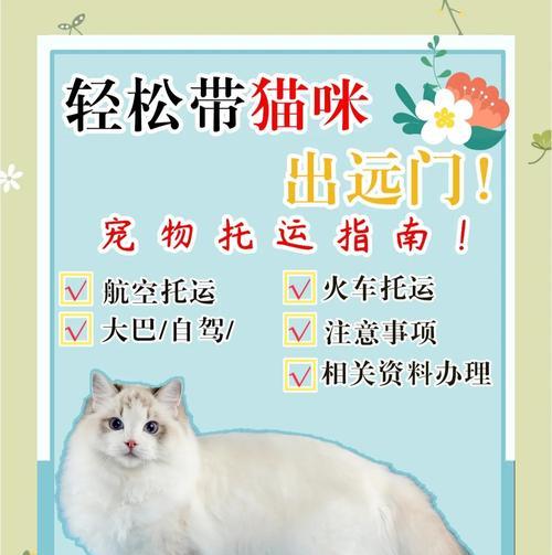 猫咪托运的费用和交通工具选择(了解猫咪托运的费用和可选交通工具,为宠物旅行提供便利)(图2) 猫咪托运的费用和交通工具选择(了解猫咪托运的费用和可选交通工具,为宠物旅行提供便利)(图2)