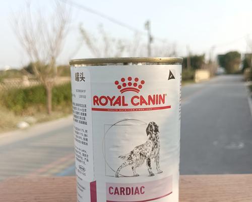 以泰迪处方粮能吃多久？（探究以泰迪处方粮的食用时长和效果如何） - 悠悠酷狗网