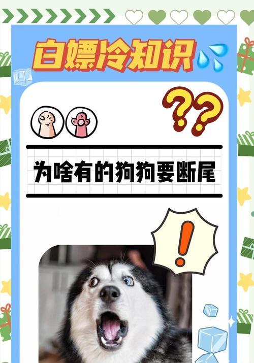 狗狗断尾的常用方法及优劣比较（选择适合狗狗的断尾方法，关爱它的健康成长） - 悠悠酷狗网