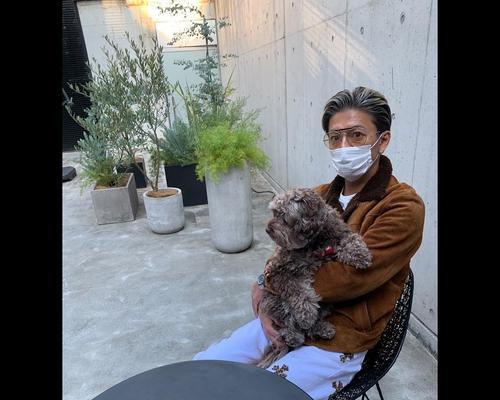 拥有价值100万的爱犬，木村拓哉掀起宠物风潮（揭秘木村拓哉的心头至爱，一只价值百 - 悠悠酷狗网