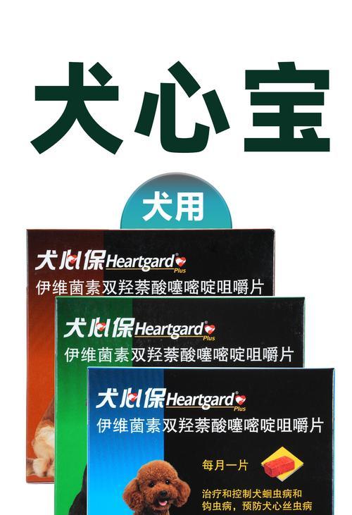 以犬心丝虫病的致命时长（以犬心丝虫病的悲剧）(图3)