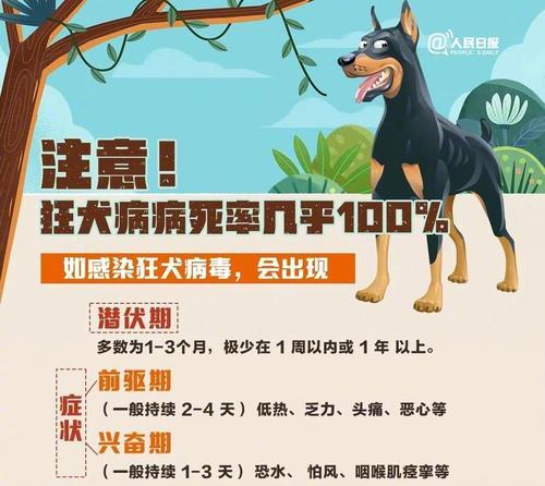 狂犬病症状持续时间的探究（狂犬病症状的时限及关键因素分析）(图2)