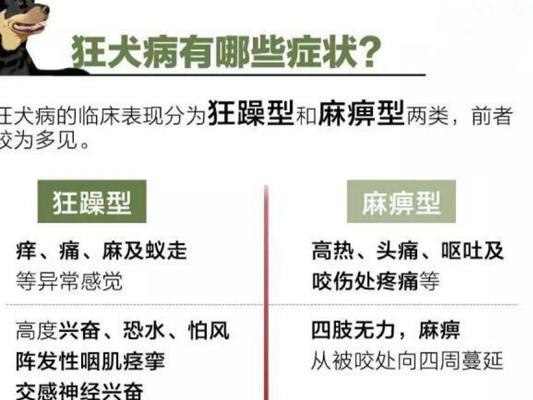 狂犬病症状持续时间的探究（狂犬病症状的时限及关键因素分析） - 悠悠酷狗网