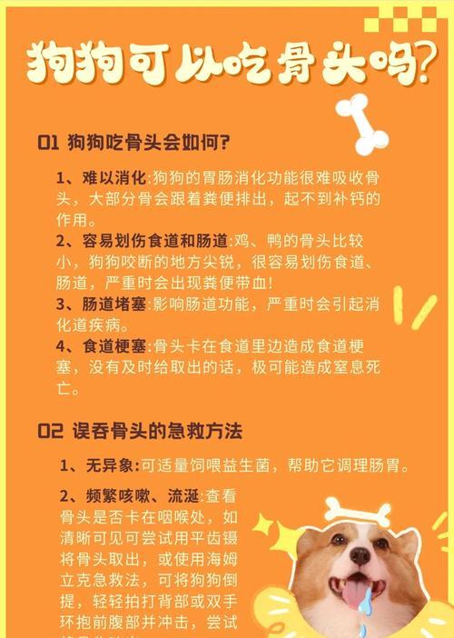 狗狗饮食的重要问题（狗狗骨头煮熟的关键是什么？） - 悠悠酷狗网
