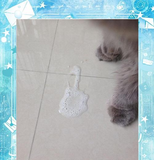 猫咪吐了没消化的猫粮,肠胃不好是原因吗?(探究猫咪吐出没消化的猫粮的原因和解决方法)(图1) 猫咪吐了没消化的猫粮,肠胃不好是原因吗?(探究猫咪吐出没消化的猫粮的原因和解决方法)(图1)