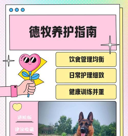 以德牧配完多久下奶(探究德牧配完后产奶时间及相关影响因素)(图3) 以德牧配完多久下奶(探究德牧配完后产奶时间及相关影响因素)(图3)