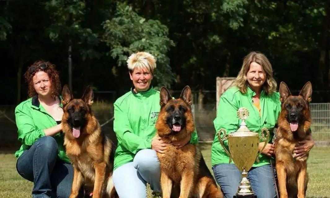 以德牧配完多久下奶(探究德牧配完后产奶时间及相关影响因素)(图2) 以德牧配完多久下奶(探究德牧配完后产奶时间及相关影响因素)(图2)