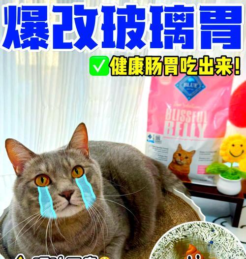 猫咪吐了没消化的猫粮,肠胃不好是原因吗?(探究猫咪吐出没消化的猫粮的原因和解决方法)(图3) 猫咪吐了没消化的猫粮,肠胃不好是原因吗?(探究猫咪吐出没消化的猫粮的原因和解决方法)(图3)