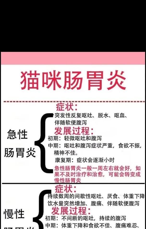 猫咪吐了没消化的猫粮,肠胃不好是原因吗?(探究猫咪吐出没消化的猫粮的原因和解决方法)(图2) 猫咪吐了没消化的猫粮,肠胃不好是原因吗?(探究猫咪吐出没消化的猫粮的原因和解决方法)(图2)