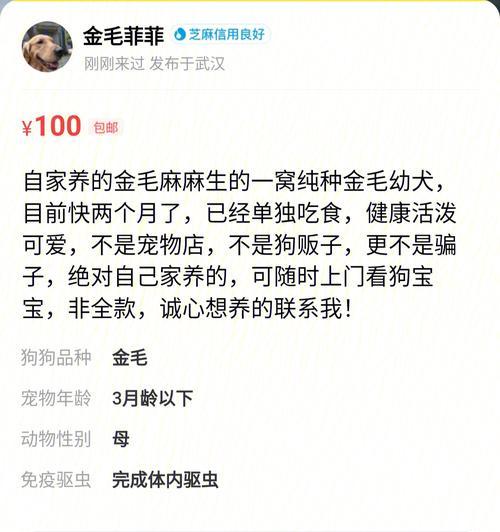 七彩闲鱼的饲养技巧与水质关系探析（水质是养鱼的关键，做好水质管理才能健康饲养） - 悠悠酷狗网