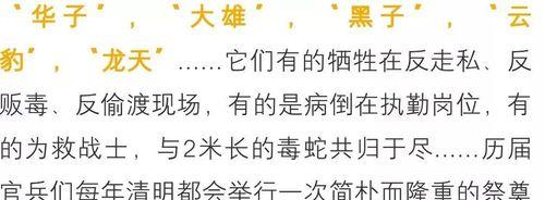 狗的第一胎隔多久生一次？（探寻狗生育周期的奥秘）(图3)