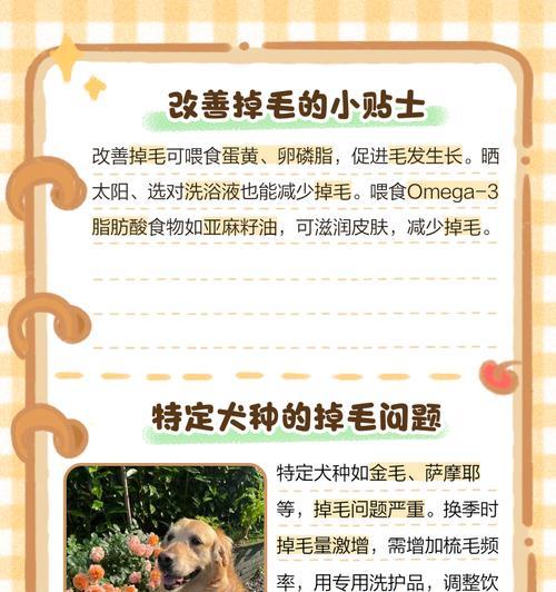 狗狗脱毛周期及常见处理方法（探究狗狗脱毛周期与脱毛处理的关键方法） - 悠悠酷狗网