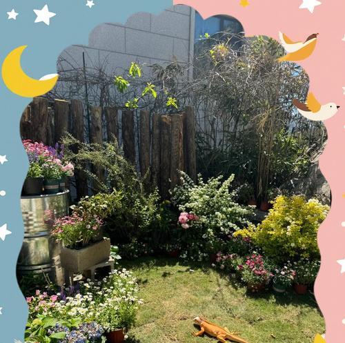 以绿鬣蜥可以喂食哪些蔬菜？（了解绿鬣蜥的蔬菜食谱，保持它们的健康与活力。） - 悠悠酷狗网