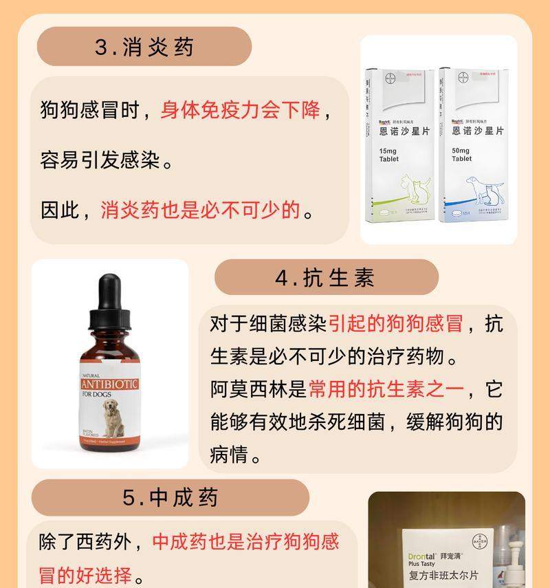 小狗感冒的痊愈时间及治疗方法（了解小狗感冒的治愈时间是关键，帮助你的宠物尽快康复）(图2)