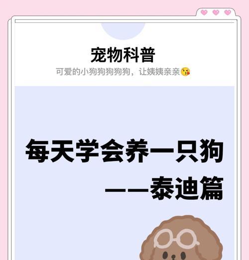 养泰迪狗狗，药品备齐才能安心（泰迪狗狗养育过程中必备药品及其作用）(图1)